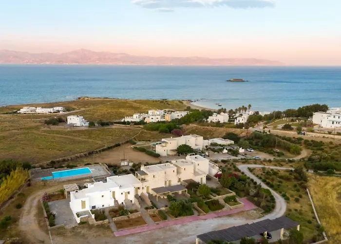 Villa Kallirroe Deluxe With Sea View And Pool Chrisi Akti (Paros)